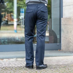 Wool Pants 101 Blue Striped